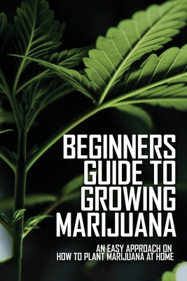 Beginners Guide to Growing Marijuana