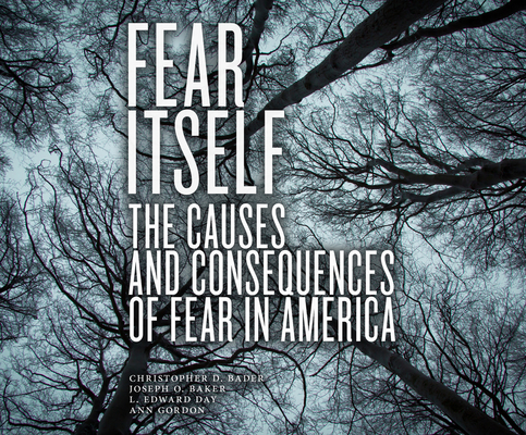 Fear Itself: The Causes and Consequences of Fear in America By Ann Gordon, Joseph O. Baker Cover Image
