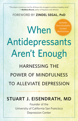 When Antidepressants Aren't Enough: Harnessing the Power of Mindfulness to Alleviate Depression By Stuart J. Eisendrath, Zindel Segal (Foreword by) Cover Image