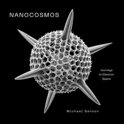 Nanocosmos: Journeys in Electron Space By Michael Benson Cover Image