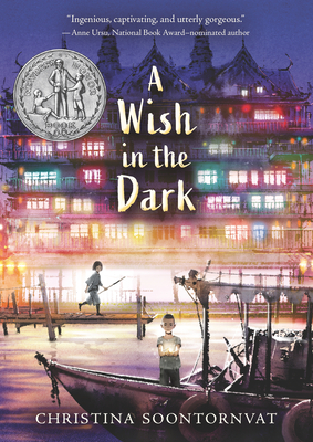 Cover for A Wish in the Dark