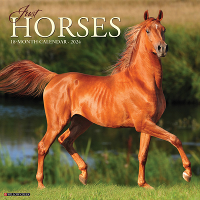Just Horses 2024 12 X 12 Wall Calendar Cover Image