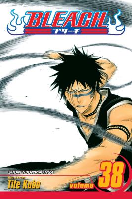 BLEACH Manga Volume 65