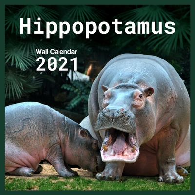 Hippopotamus 2021 Wall Calendar: calendar 8.5 x 8.5 glossy paper 16 Month Calendar Animal 2021 hippopotamus By Calendar Publishing Cover Image