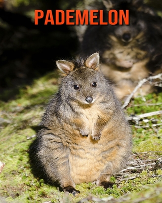 Pademelon: Amazing Facts about Pademelon By Devin Haines Cover Image