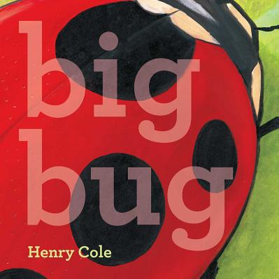 Big Bug Cover Image