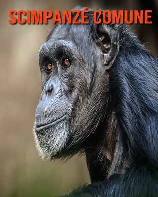 Scimpanzé comune: Foto stupende e fatti divertenti Libro sui Scimpanzé comune per bambini By Kelly Craig Cover Image
