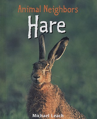 Hare (Animal Neighbors) By Michael Leach Cover Image