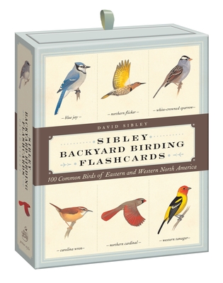 Sibley Backyard Birding Flashcards: 100 Common Birds of Eastern and Western North America (Sibley Birds) Cover Image