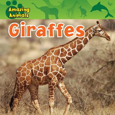 Giraffes (Amazing Animals) By Sarah Albee Cover Image