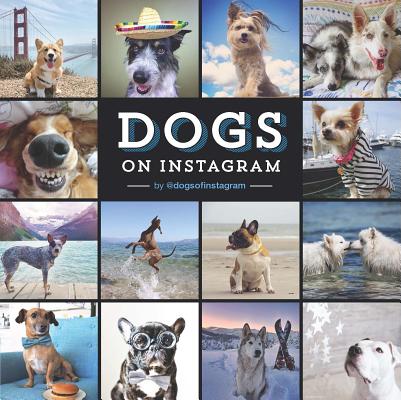 Cover for Dogs on Instagram