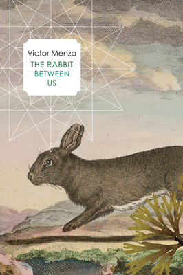 The Rabbit Between Us Cover Image