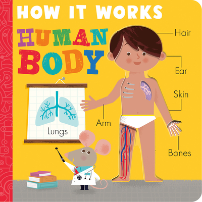 How it Works: Human Body By Amelia Hepworth, David Semple (Illustrator) Cover Image