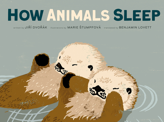 How Animals Sleep Cover Image