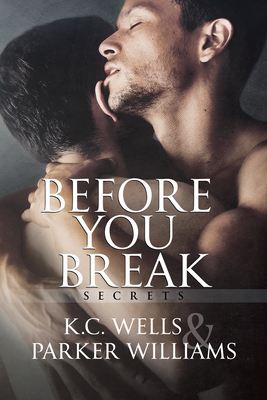 Cover for Before You Break (Secrets #1)