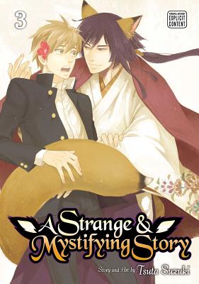 Cover for A Strange & Mystifying Story, Vol. 3 (A Strange and Mystifying Story #3)