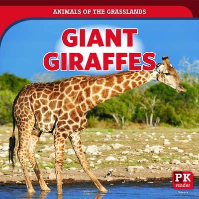 Giant Giraffes By Theresa Emminizer Cover Image