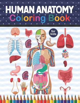 Download Human Anatomy Coloring Book For Kids Human Body Anatomy Coloring Book For Medical High School Students Human Brain Heart Liver Coloring Book Hum Paperback Children S Book World