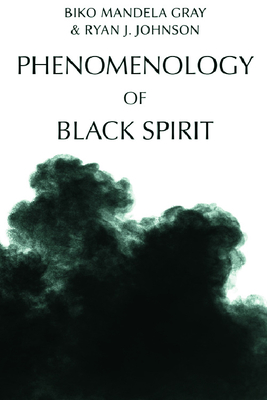 Phenomenology of Black Spirit Cover Image