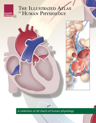 The Illustrated Atlas of Human Physiology: A Collection of 20 Anatomical Charts of Human Physiology Cover Image