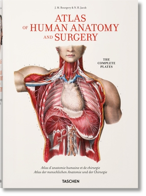 Bourgery. Atlas of Human Anatomy and Surgery By Jean-Marie Le Minor, Henri Sick Cover Image