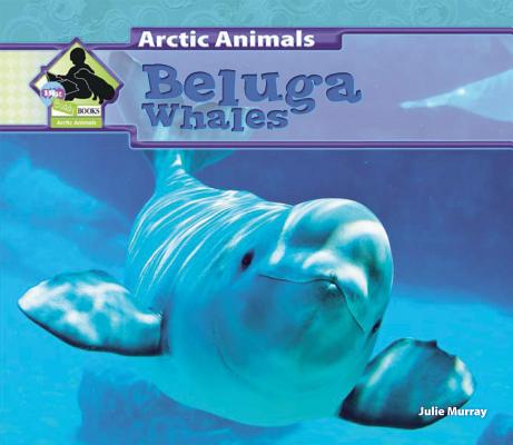 Beluga Whales (Arctic Animals)