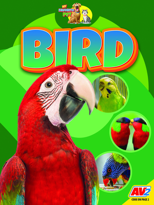 Bird (My Favorite Pet)