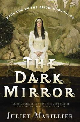 The Dark Mirror: Book One of the Bridei Chronicles Cover Image