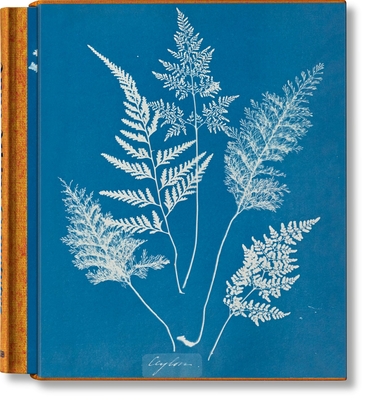 Anna Atkins. Cyanotypes Cover Image