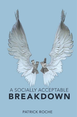 A Socially Acceptable Breakdown By Patrick Roche Cover Image