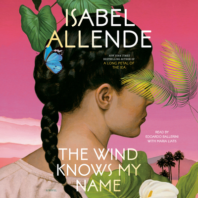 The Wind Knows My Name: A Novel Cover Image