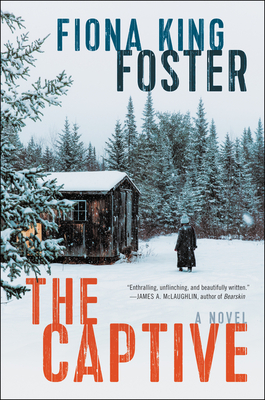 The Captive: A Novel Cover Image