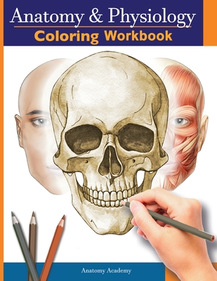 Anatomy and Physiology Coloring Workbook: The Essential College Level Study Guide Perfect Gift for Medical School Students, Nurses and Anyone Interest Cover Image
