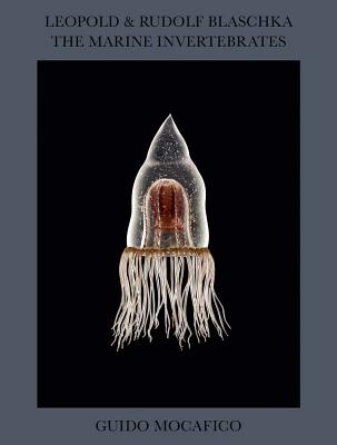 Guido Mocafico: Leopold & Rudolf Blaschka: The Marine Invertebrates By Guido Mocafico (Photographer), Patrick Remy (Editor), Alexandra Baudelot (Text by (Art/Photo Books)) Cover Image