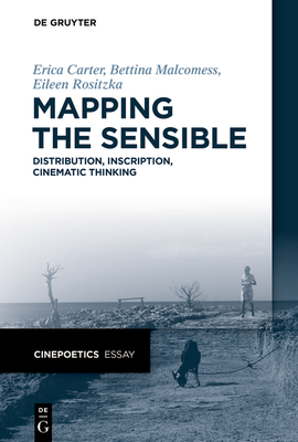 Mapping the Sensible: Distribution, Inscription, Cinematic Thinking (Cinepoetics Essay #3)