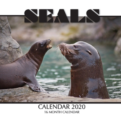 Seals Calendar 2020: 16 Month Calendar By Golden Print Cover Image