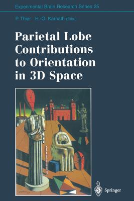 Parietal Lobe Contributions to Orientation in 3D Space (Experimental Brain Research #25) Cover Image