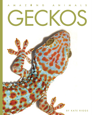 Geckos (Amazing Animals) By Kate Riggs Cover Image