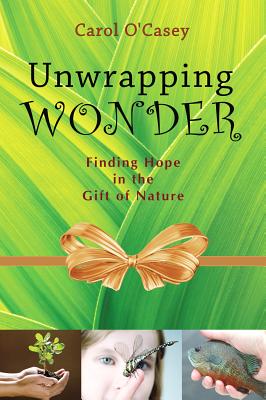 Cover for Unwrapping Wonder