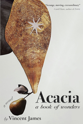 Acacia, a Book of Wonders: A Novel