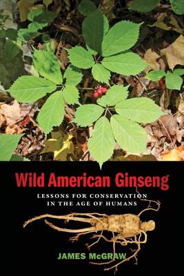 Wild American Ginseng: Lessons for Conservation in the Age of Humans
