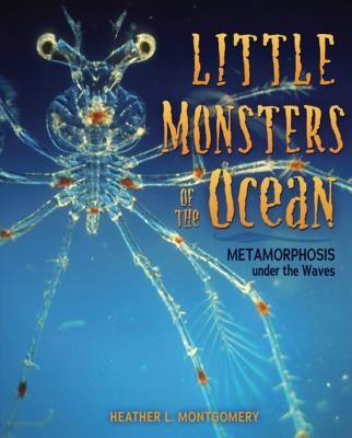 Cover for Little Monsters of the Ocean