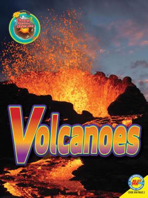 Volcanoes (Focus on Earth Science) Cover Image