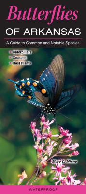 Butterflies of Arkansas: A Guide to Common and Notable Species By Marc C. Minno Cover Image