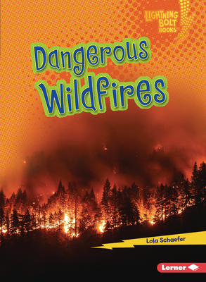 Dangerous Wildfires (Lightning Bolt Books (R) -- Earth in Danger)