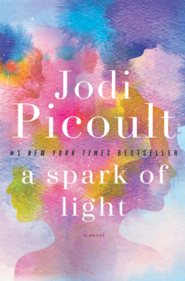 Cover Image for A Spark of Light: A Novel