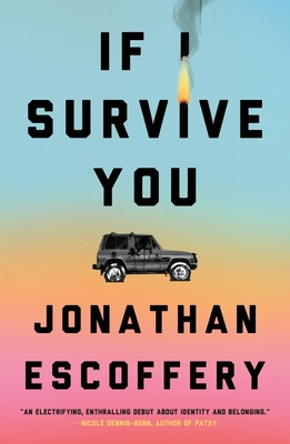 Cover for If I Survive You