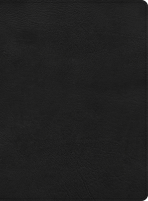 Cover for CSB Apologetics Study Bible, Black LeatherTouch