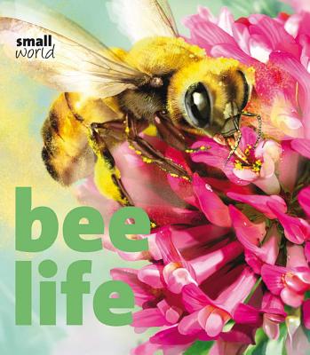 Bee Life By Lynette Evans, Francesca D'Ottavi (Illustrator) Cover Image
