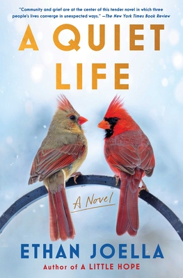 A Quiet Life: A Novel By Ethan Joella Cover Image